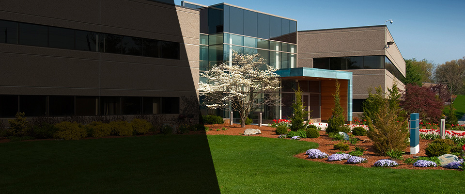 Ridley Park Landscapers