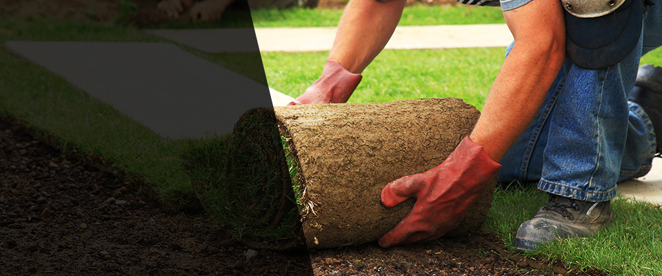 Ridley Park Landscapers